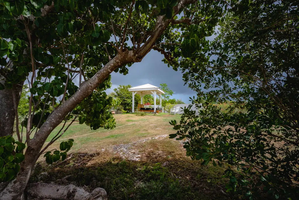 Image 106