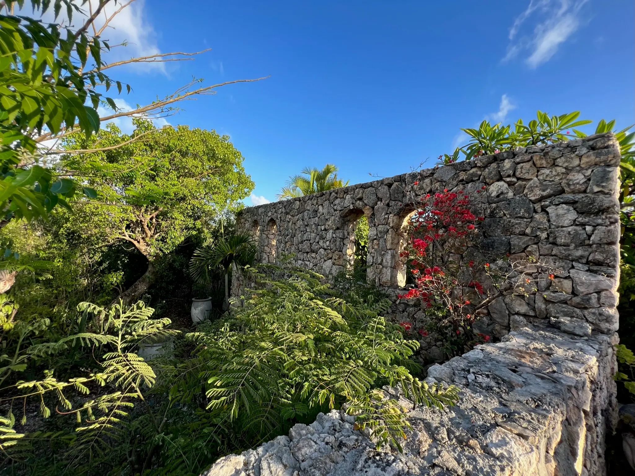 Image 23